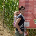 Corn Maze Entrance2